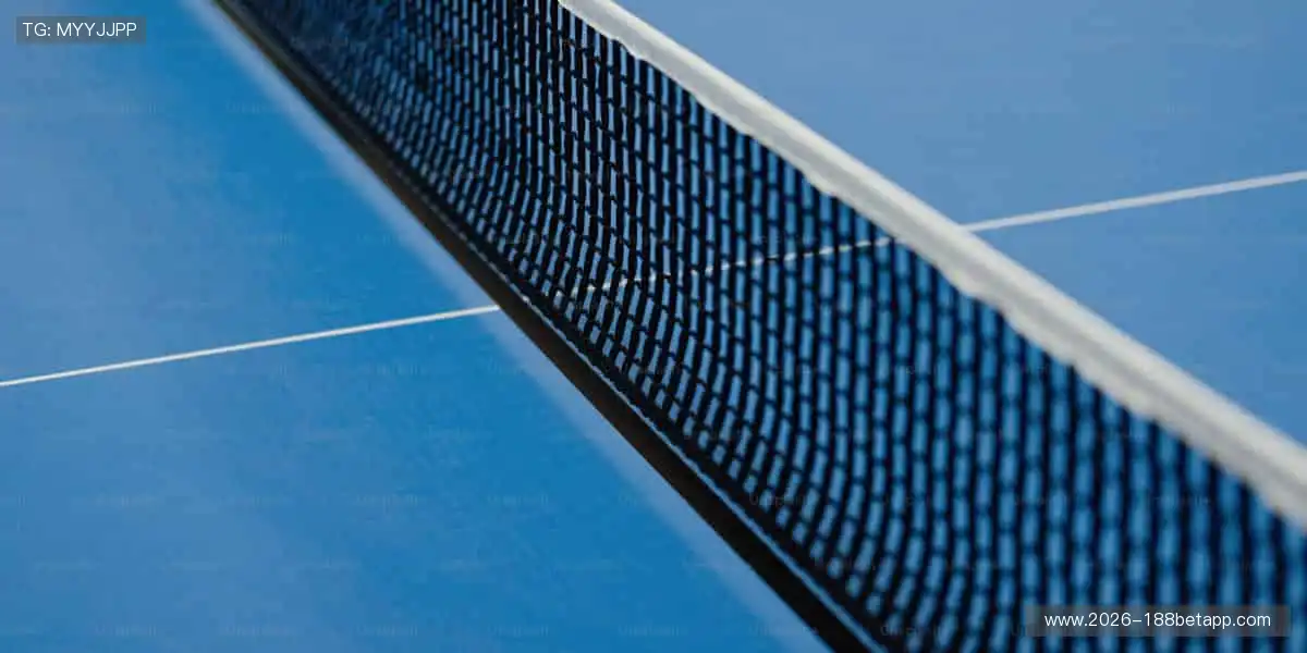 运动装备一站式,品质与颜值并存!🛒🔥